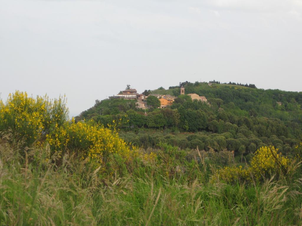 Da Lorella Hotel Gabicce Mare Bagian luar foto