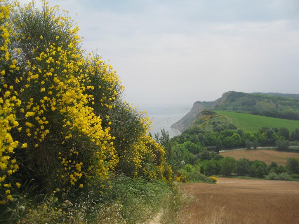 Da Lorella Hotel Gabicce Mare Bagian luar foto