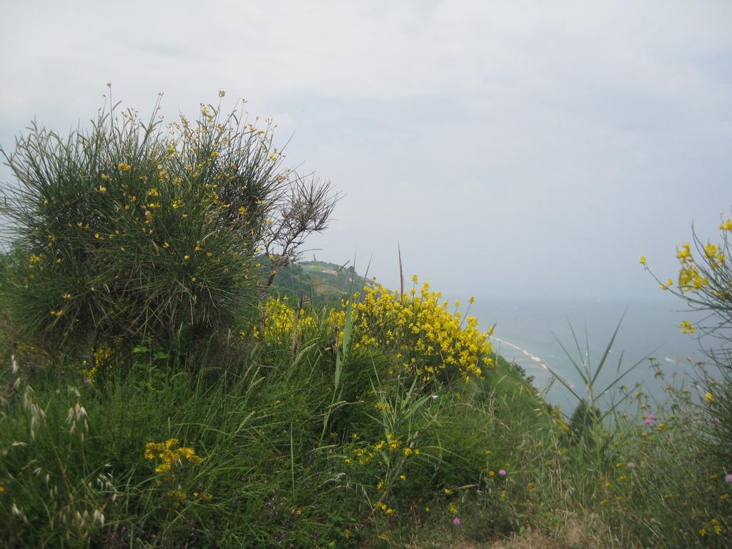 Da Lorella Hotel Gabicce Mare Bagian luar foto